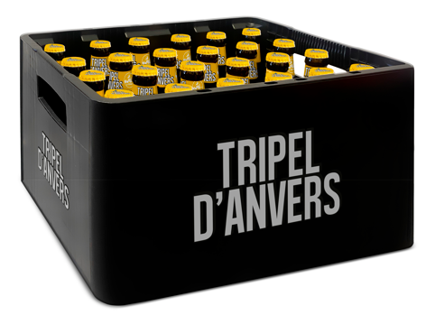 TRIPEL D'ANVERS 1/3 (24)