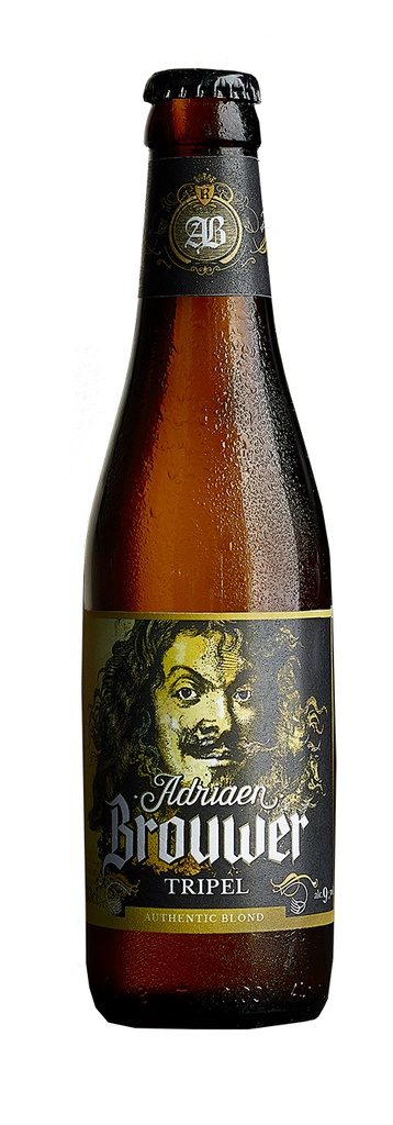 ADRI.BROUWER TRIP.BIO 1/3