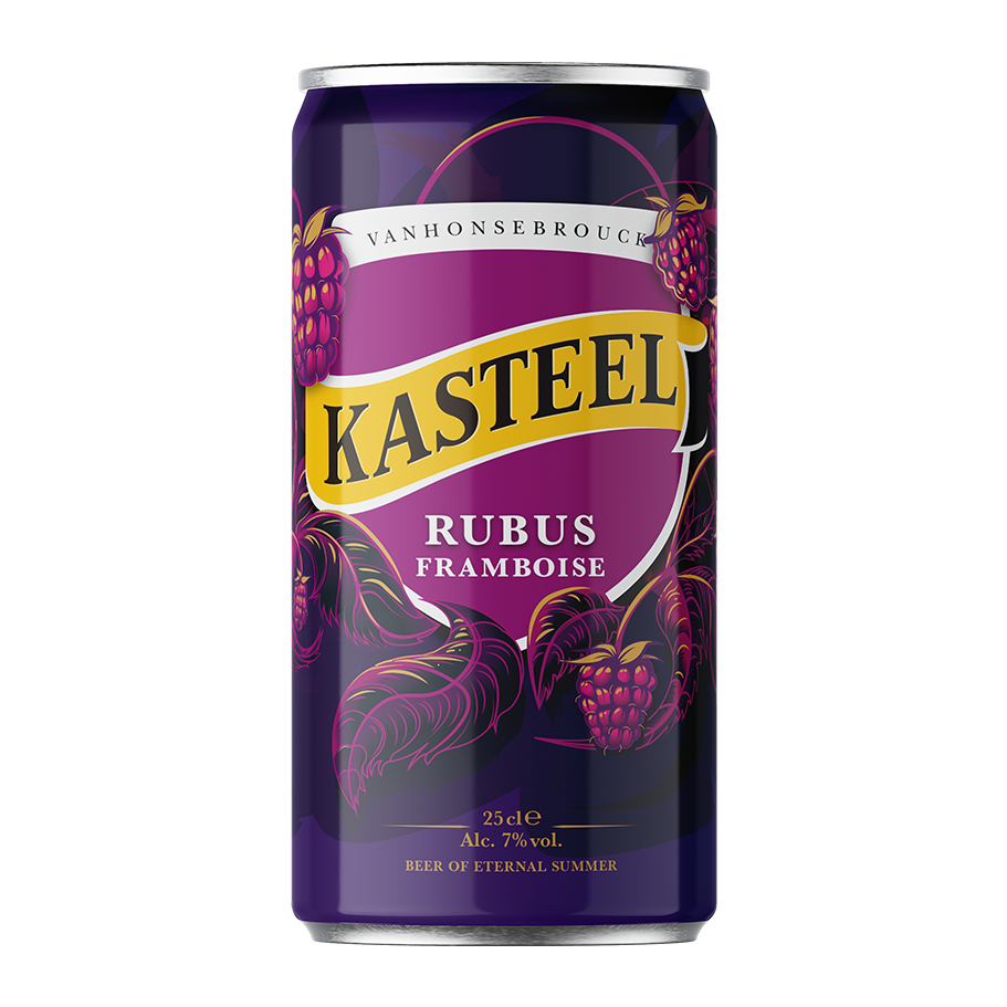 KASTEELBIER RUBUS CANS 0.25