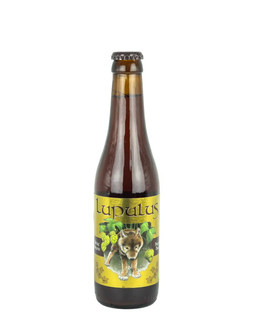 LUPULUS BRUIN 1/3