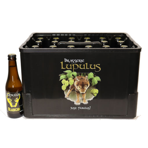 [03024] LUPULUS BLANCHE 1/3 (24)