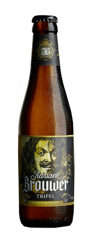 [10877_S] ADRI.BROUWER TRIP.BIO 1/3