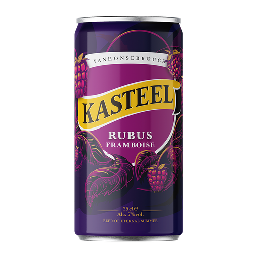 [11355_S] KASTEELBIER RUBUS CANS 0.25