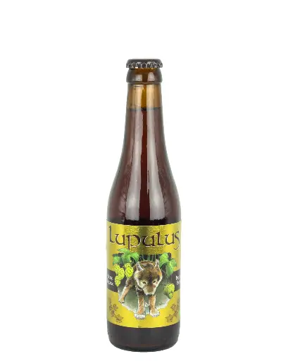 [10862_S] LUPULUS BRUIN 1/3