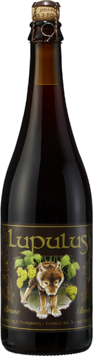 [11607_S] LUPULUS BRUIN 3/4