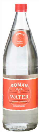 [20098_S] ROMAN BRUIS 1/1